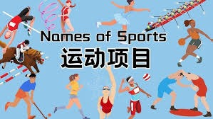 数只有