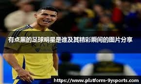 的锦标