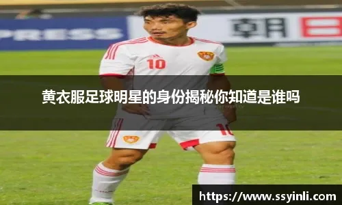 能语音大招